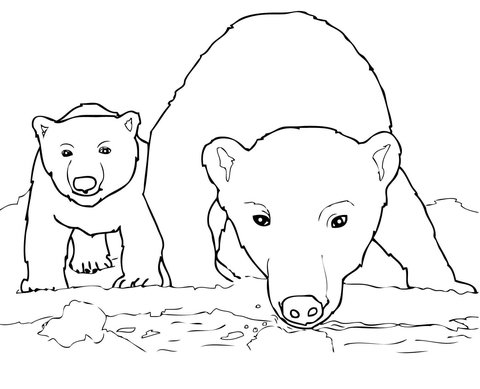 Curious Polar Bear Mother And Cub Coloring Page